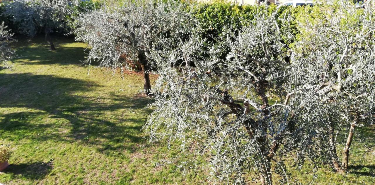 Il Melograno Bed & Breakfast Garda  Exterior photo